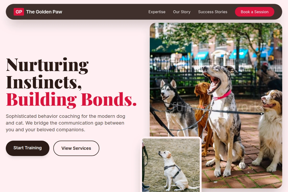 Feline Dog Training