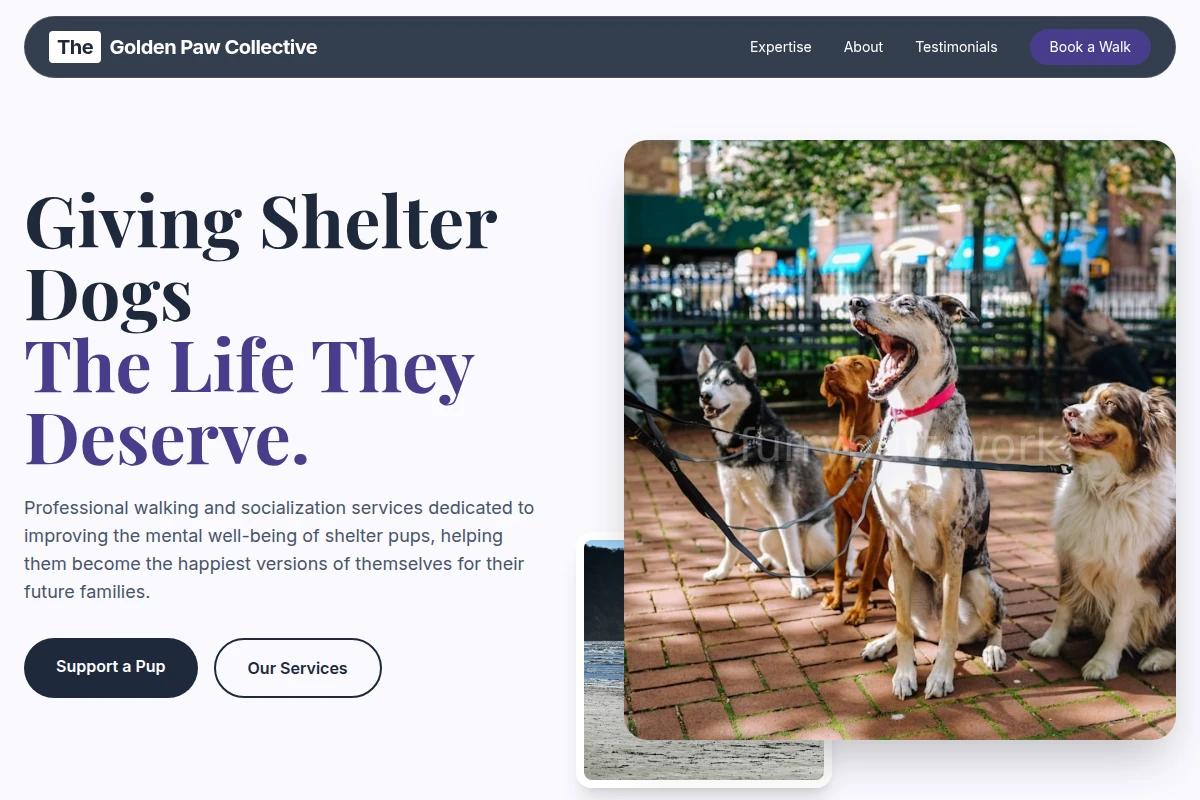 Shelter Dog Walker